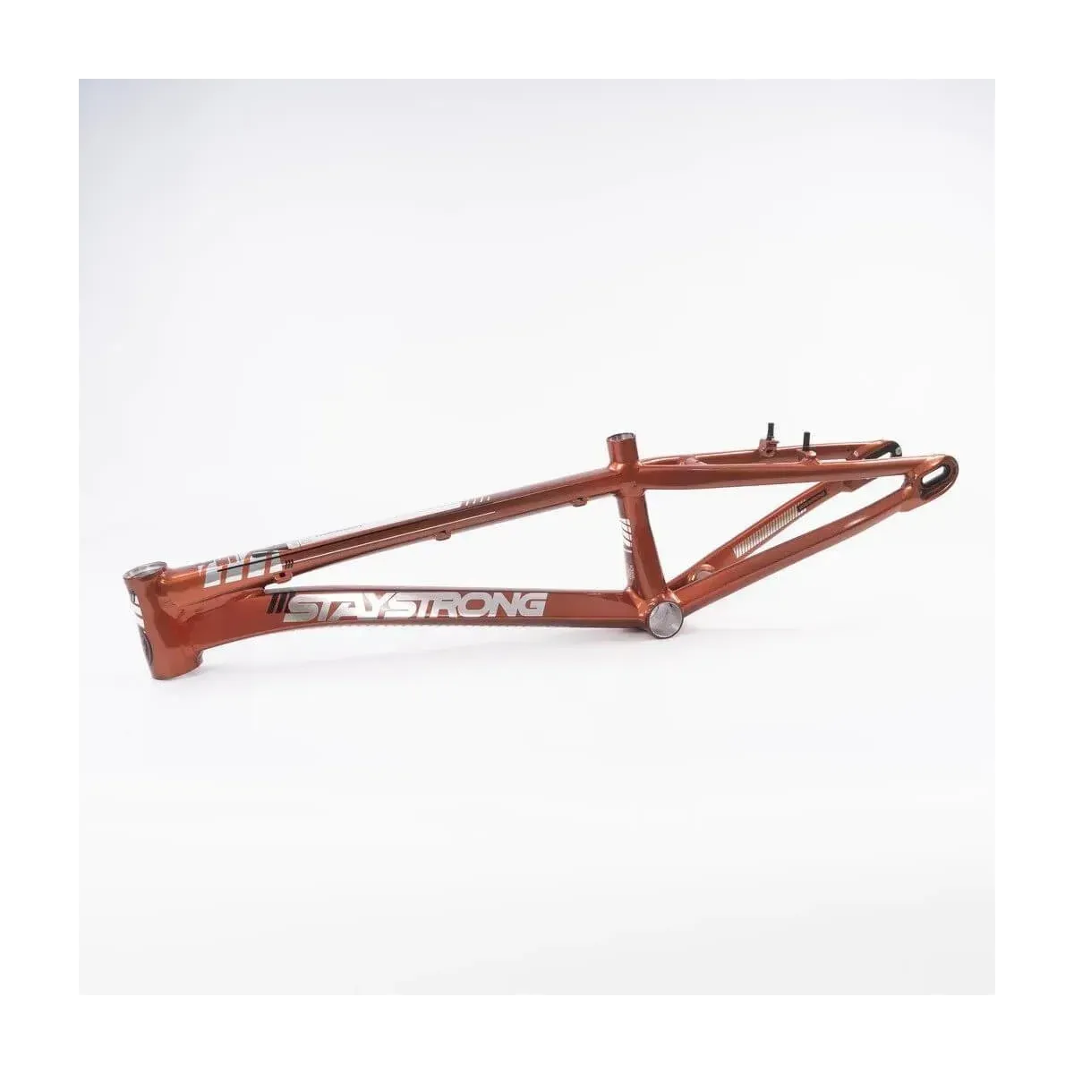 Stay Strong 2023 For Life V4 Disc Frame Copper